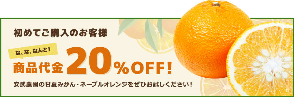 甘夏みかん 無農薬の甘夏みかん 国産ネーブルオレンジなら 安武農園
